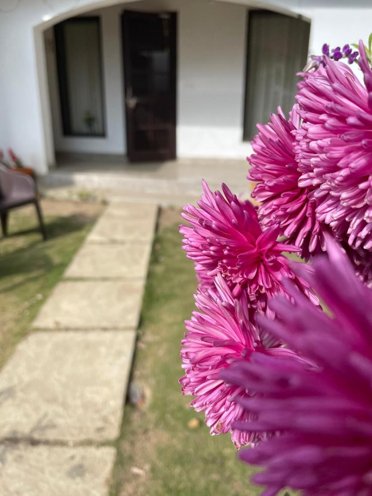 Kafal Tree Home Stay - Pet Friendly Bhowali Extérieur photo